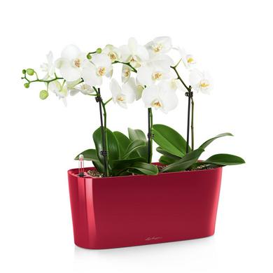 DELTA 20 scarlet red high-gloss